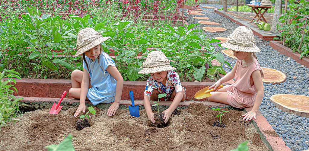 Organic garden planting_1024x500px